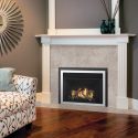 Regency® Horizon® HRI3E Gas Insert - Fireplace